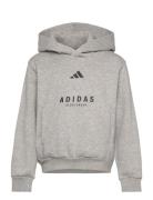 J Allszn Gfx Hd Sport Sweatshirts & Hoodies Hoodies Grey Adidas Sports...