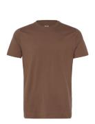 Hco. Guys Knits Tops T-Kortærmet Skjorte Brown Hollister