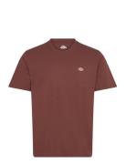 Ss Mapleton Tee Designers T-Kortærmet Skjorte Brown Dickies