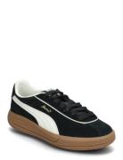 Puma Club Klassika Sd Sport Sport Shoes Sport Sneakers Sport Low Top S...