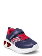 J Assister Boy C Low-top Sneakers Navy GEOX