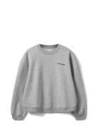 Elisw Sweatshirt Tops Sweatshirts & Hoodies Sweatshirts Grey Sofie Sch...