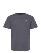 M Seasons Drycell Tee Sport Men Sports Clothes Sport Tops Sport T-Skjo...