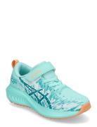 Pre Noosa Tri 16 Ps Shoes Sports Shoes Running-training Shoes Blue Asi...