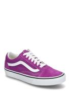 Old Skool Sport Sport Shoes Sport Sneakers Sport Low Top Sneakers Purp...