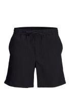 Jpstjaiden Massimo Jogger Shorts Srt Bottoms Shorts Casual Black Jack ...