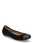 Ballerina Ballerinasko Ballerinaer Black Gabor