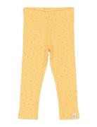 Legging Modal Dot Bottoms Leggings Yellow Petit Piao