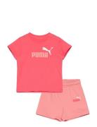 Minicats Ess Tee And Shorts Set Inf Sets Sets With Short-sleeved T-shi...