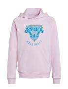 Hoodie Fl Sport Sweatshirts & Hoodies Hoodies Pink Adidas Originals