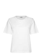 T Shirt Erica Basic Cotton Tops T-shirts & Tops Short-sleeved White Li...