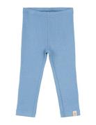 Legging Modal Bottoms Leggings Blue Petit Piao