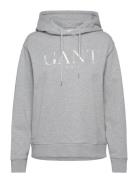 Tonal Graphic Hoodie Tops Sweatshirts & Hoodies Hoodies Grey GANT