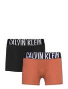 2Pk Trunk Night & Underwear Underwear Underpants Black Calvin Klein