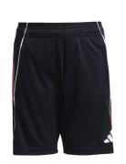 Tiro25C Tr Shoy Sport Shorts Sport Shorts Black Adidas Performance