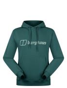 Bg M Logo Hoody Light Sport Men Sport Clothing Sport Sweatshirts & Hoo...