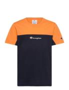 Ss Tee Tops T-Kortærmet Skjorte Multi/patterned Champion