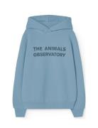 Taurus Kid Hoodie Blue Tops Sweatshirts & Hoodies Hoodies Blue THE ANI...