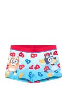Swimsuit Badedragt Badetøj Multi/patterned Bluey