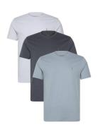 Brace Ss Crew 3 Pk Tops T-Kortærmet Skjorte Blue AllSaints