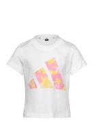 Jg Flwr T Low-top Sneakers White Adidas Sportswear