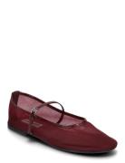 Mash Balerina Ballerinasko Ballerinaer Burgundy Steve Madden