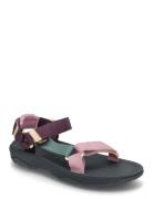 K Hurricane Xlt 2 Shoes Summer Shoes Sandals Purple Teva