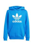 Trefoil Hoodie Tops Sweatshirts & Hoodies Hoodies Blue Adidas Original...