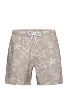 Hco. Guys Swim Badeshorts Grey Hollister