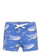 Swimtrunk Aop Badeshorts Blue Lindex