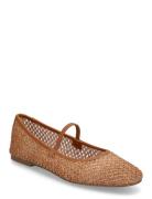 Majorca Ballerina Ballerinasko Ballerinaer Brown Steve Madden