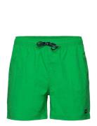 Leisure Swim Shorts Badeshorts Green H2O