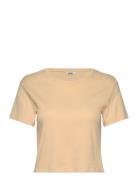 Cropped Fitted Cotton T-Shirt Tops Crop Tops Short-sleeved Crop Tops O...