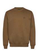Standard Crew Logo Sweat Tops Sweatshirts & Hoodies Sweatshirts Brown ...