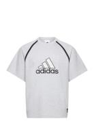 Badge Tee Sport Men Men Sports Clothes Sport Tops Sport T-Skjorte Grey...