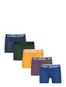 Cotton Stretch Boxer 5P Night & Underwear Underwear Underpants Multi/p...