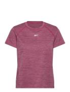 Id Train Tee Sport Sport Clothing Sports Tops & T-shirts Sport T-Skjor...
