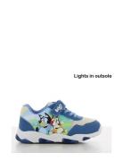 Bluey Sneakers Low-top Sneakers Blue Bluey