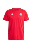Fcb Dna Tee Sport Men Men Sports Clothes Sport Tops Sport T-Skjorte Re...
