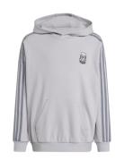 Hoodie Tops Sweatshirts & Hoodies Hoodies Grey Adidas Originals