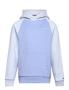 Mini Corp Logo Hoodie Tops Sweatshirts & Hoodies Hoodies Blue Tommy Hi...