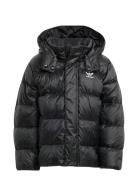Down Jacket Foret Jakke Black Adidas Originals