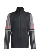 Sq25 Tr Jkt Y Sport Sweatshirts & Hoodies Sweatshirts Black Adidas Per...