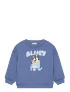 Bluey-Print Sweatshirt Tops Sweatshirts & Hoodies Sweatshirts Blue Man...