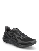 New Balance Freshfoam Arishi V4 Tiralux Sport Women Sport Shoes Sport ...