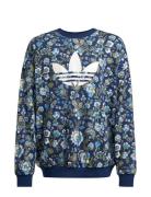 Crew Tops Sweatshirts & Hoodies Sweatshirts Blue Adidas Originals