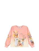 Reniza Tops T-shirts Long-sleeved T-Skjorte Pink Molo