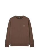 Standard Crew Logo Sweat Fav Tops Sweatshirts & Hoodies Sweatshirts Br...