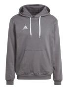 Ent22 Hoody Tops Sweatshirts & Hoodies Hoodies Grey Adidas Performance