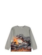 Rube Tops T-shirts Long-sleeved T-Skjorte Grey Molo